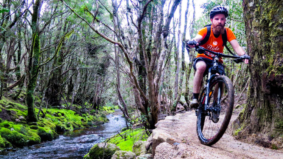Scott Gelston takes in the beautiful Tasmanian wilderness and immaculately built trails of the Blue Tier.